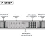 escurridor-5-modulos-kitchen-03